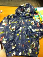 Ветровка на флисе