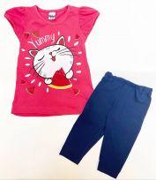 Кошка с арбузом 